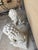 Late 20th Century Monumental 34" Vintage Cast Statue/Sculpture Concrete Foo Dog Guardian Lions - A Pair For Sale - Image 5 of 6