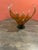 1970s Vintage Large Chalet Canada Amber Glass Centerpiece Bowl For Sale - Image 16 of 18