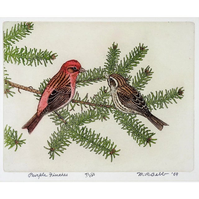 Vintage 1969 Maurice Bebb Purple Finches Aquatint Etching For Sale In Seattle - Image 6 of 6