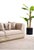 Contemporary New Vega 3–Piece Gold Accent Modern Luxury Living Room Set - Sofa , Loveseat & Chair For Sale - Image 3 of 18