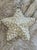 White Vintage 14.5” Very Large Seashell Encrusted Holiday Star , 1980’s For Sale - Image 8 of 11