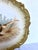 Ceramic Antique French Limoges Game Bird Cabinet Plates - Coiffe & Cie, Pair For Sale - Image 7 of 18