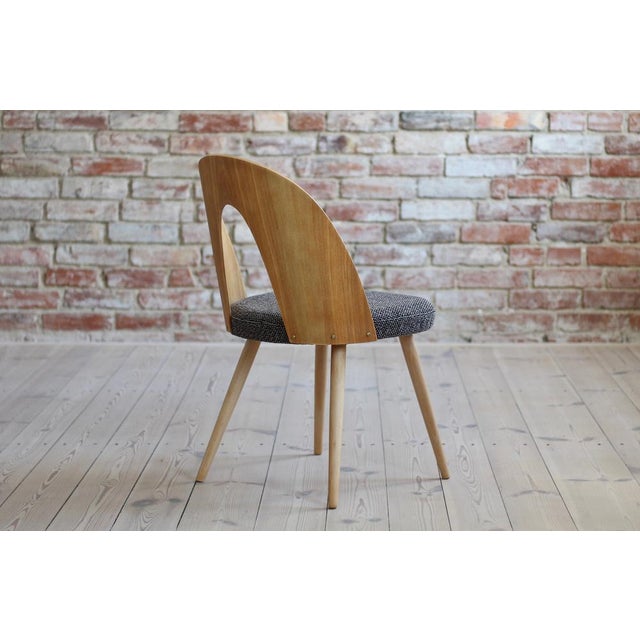 Black Mid-Century Dining Chairs by A. Suman, Set of 10 For Sale - Image 8 of 17