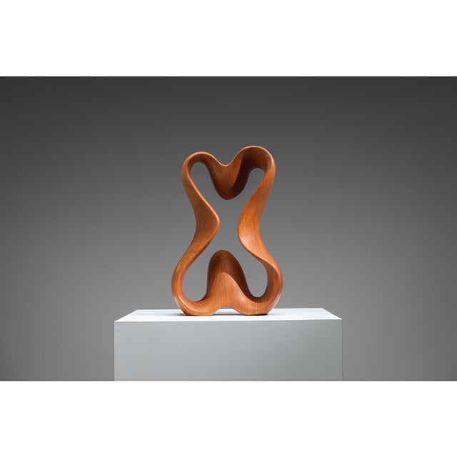 Brown Unknown, Abstract Sculpture with Organic Flowing Curves, 1960s, Teak For Sale - Image 8 of 18