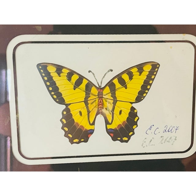 Vintage Butterfly Collage in Antique Brass Frame For Sale - Image 4 of 5