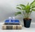 Exquisite pair of ceramic salt and pepper shakers with hand-painted cobalt blue floral and scroll motifs on white. One has...