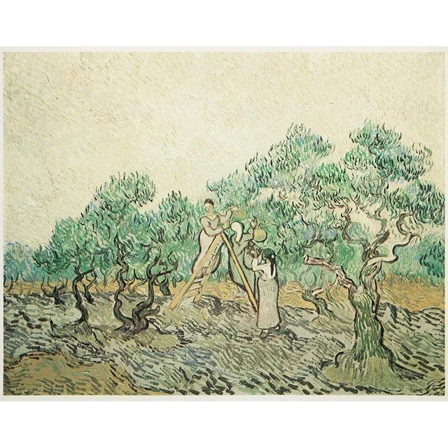 1977 After Vincent Van Gogh "The Olive Orchard", Full-Color Print For Sale In Dallas - Image 6 of 6