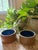Pair of French Mid-Century Ceramic Bowls For Sale - Image 9 of 9