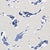 Harlequin Koi Wallpaper in Indigo For Sale