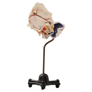 Medical Ear Recreation Object, 1900s For Sale