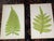 Mid 19th Century Antique 19th Century Botanical Wood Engravings - Ferns - Set of 12 For Sale - Image 5 of 8