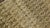 Hand Knotted Northwest Persian Camel Hair Sarab Gallery rug.4"9"x 11' For Sale - Image 4 of 18