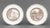 Wedgwood the Garden Club of America Plates, 12 For Sale - Image 12 of 14