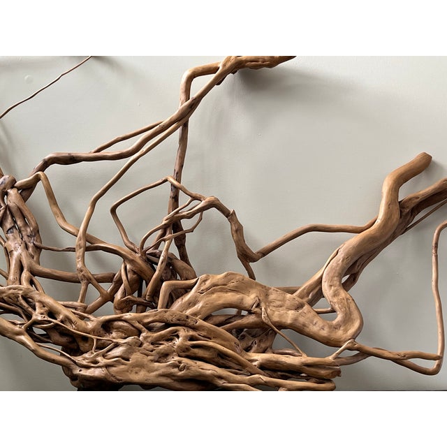 Large Root Sculpture From Southwest China For Sale In Chicago - Image 6 of 12