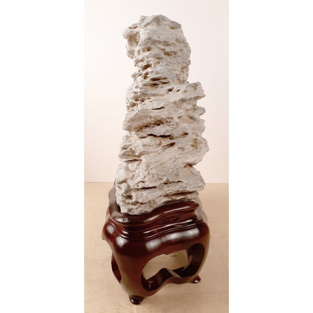 Early 20th Century Chinese Taihu Stone Dragon Form Gongshi Chairish