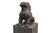 Mid-Century Modern Garden Foo Dogs Stone 1930s Medium - Set of 2 For Sale - Image 3 of 13
