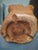 Mid-Century Modern Vintage Handcarved Large Burl Wood Basket For Sale - Image 3 of 12