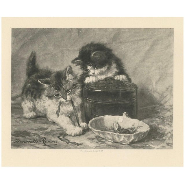 Paper Henriette Ronner, Playful Exploration, Cats and Kittens, 1894, Print For Sale - Image 7 of 7