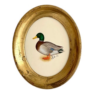 Original Hand-Painted Mallard Miniature Painting in an Italian Vintage Frame For Sale