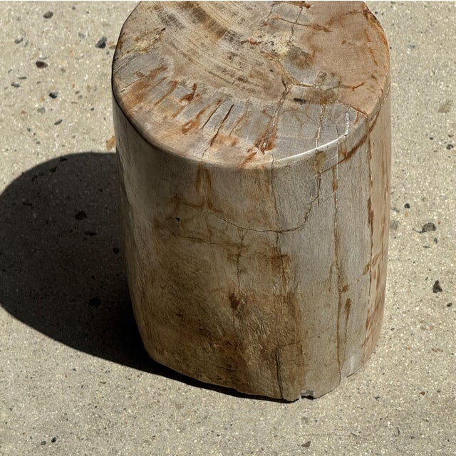 Small Side Table in Petrified Wood, 1980s For Sale - Image 14 of 18
