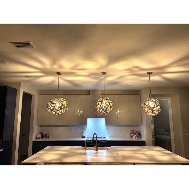 2020s Vine of the Earth Large Sphere For Sale - Image 5 of 12