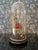 Late 19th Century Globe De Mariee / French Marriage Cloche For Sale - Image 4 of 12