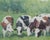 Impressionist Original Oil Painting of Cows For Sale - Image 3 of 5