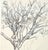 1980s Original Pencil Sketch of a Tree For Sale - Image 5 of 5