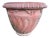 Italian Fig Terra Cotta Pot For Sale