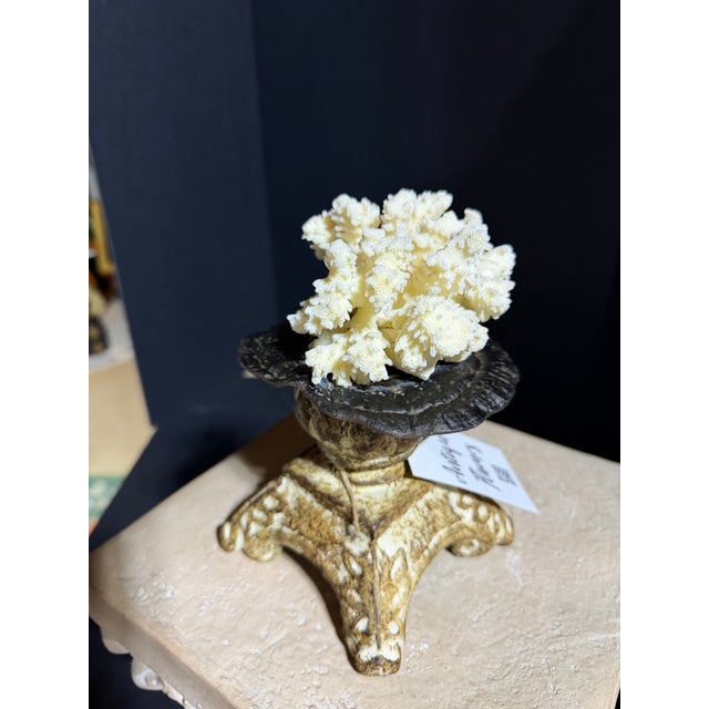 Celestial Meets the Sea Shell Decoration-Coastal Art Sculpture For Sale - Image 4 of 6