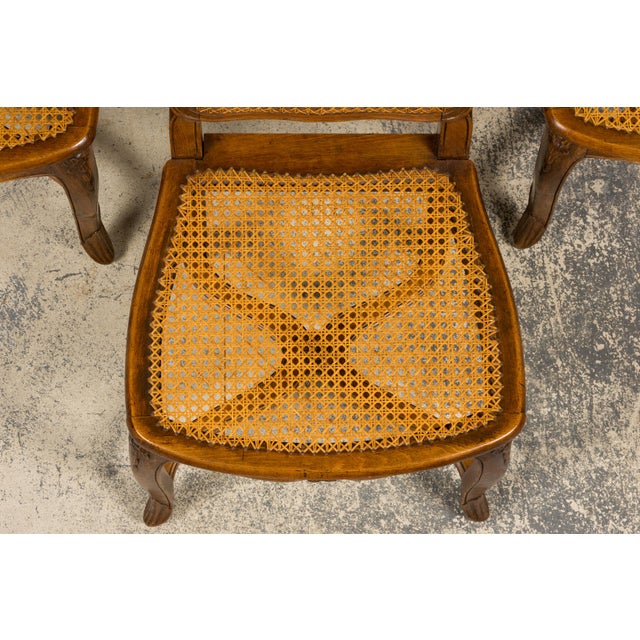 Antique French Louis XV Style Provincial Walnut Cane Dining Chairs, Set of 12 For Sale - Image 4 of 18