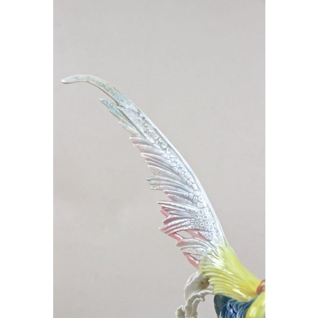 Golden Pheasant Porcelain Figurine by F. Karl Ens, Germany, 1920s For Sale - Image 3 of 18