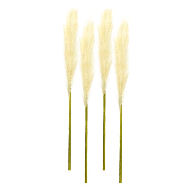Cream Pampas Gass Stem (Set of 4) For Sale