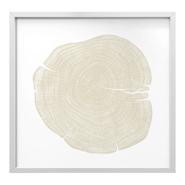 Stump 1 - Variation 4 by Trinette + Chris Print with White Frame - 14 X 14 For Sale