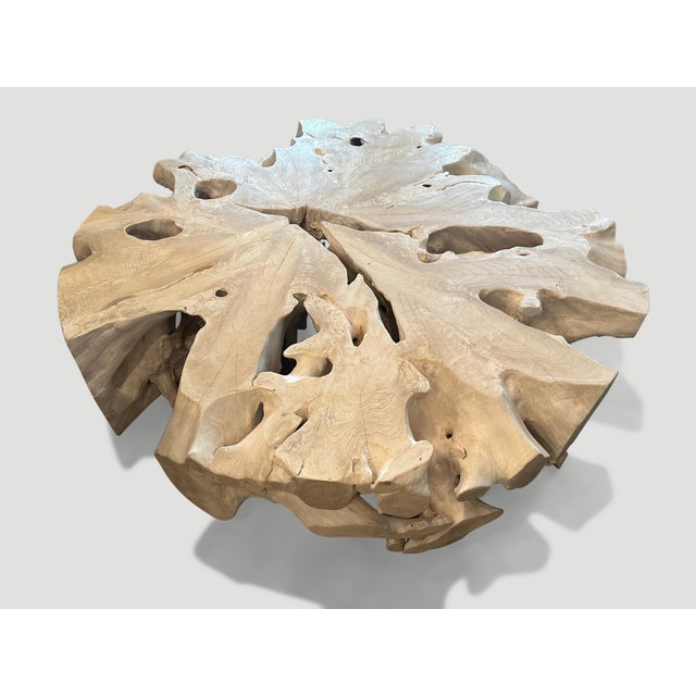 Andrianna Shamaris Bleached Teak Wood Organic Coffee Table For Sale - Image 9 of 18