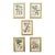 Set of 5 Antique Botanical Prints Framed Floral Flowers For Sale