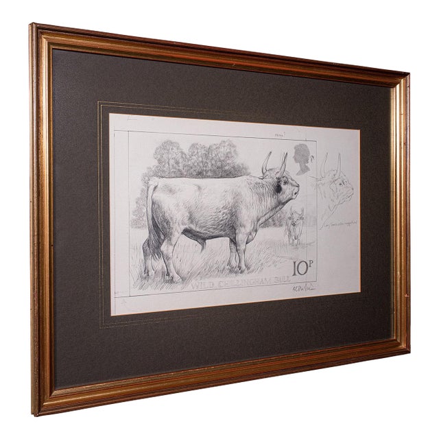 Artist's Proof Sketch, English, Framed Drawing, Barry Driscoll, Chillingham Bull For Sale