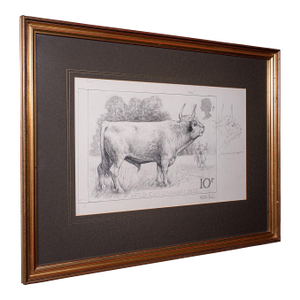 Artist's Proof Sketch, English, Framed Drawing, Barry Driscoll, Chillingham Bull