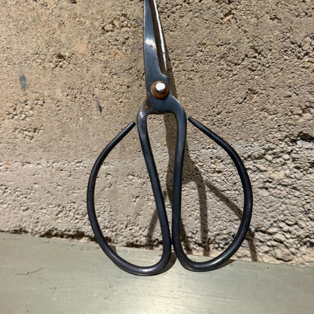 Traditional Pair of Forged Carbon Steel Loop-Handled Shears Chinese Bonsai For Sale - Image 4 of 15