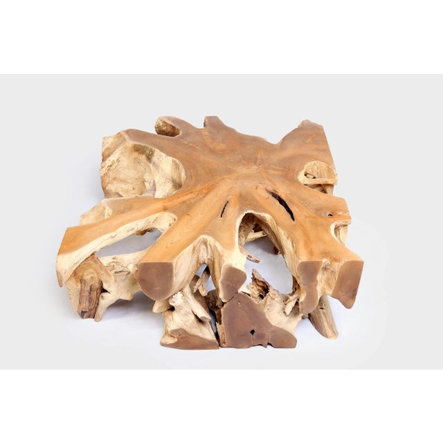 Square 36" Inch Organic Teak Root Coffee Table 54 For Sale - Image 4 of 6
