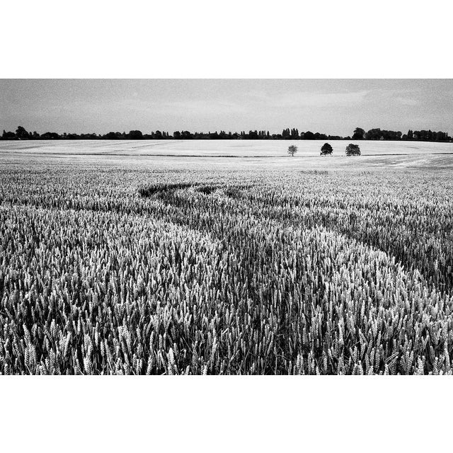 Not Yet Made - Made To Order Paul Cooklin, Wheat Field, Occold IV, Edition of 50 For Sale - Image 5 of 5