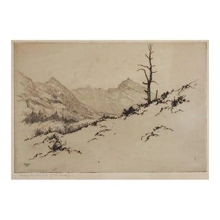 Vintage Lee Sturges Etching Among the Foothills of the Rockies For Sale