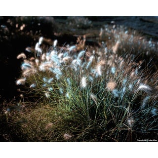 Contemporary Night Photograph "Fuzzy" by John Vias For Sale
