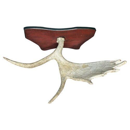 1980s Moose Antler Mount For Sale - Image 4 of 5