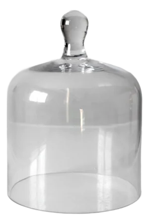 Vintage Glass Cloche