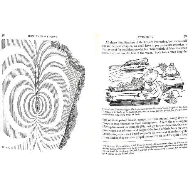 1950s "How Animals Move: The Royal Institution Christmas Lectures 1951" 1953 Gray, James For Sale - Image 5 of 11