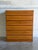 This tall dresser features a clean minimalist profile with six spacious storage drawers. The flush drawer fronts create a...