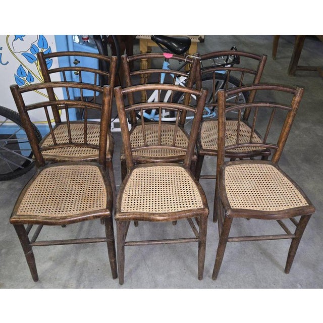 19th Century Napoleon Bentwood Chairs, Set of 6 For Sale - Image 3 of 9