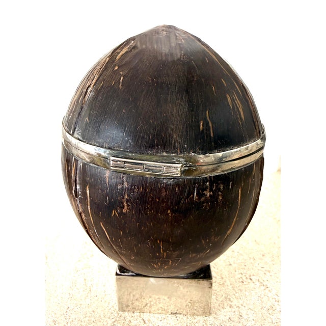 Metal Antique English Silver Coconut Box For Sale - Image 7 of 12