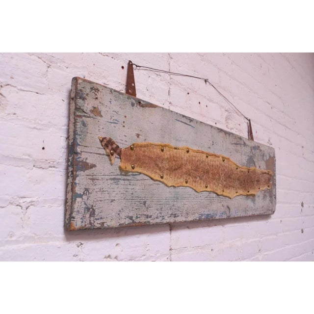 Mounted Diamond Back Rattlesnake Skin For Sale In New York - Image 6 of 13